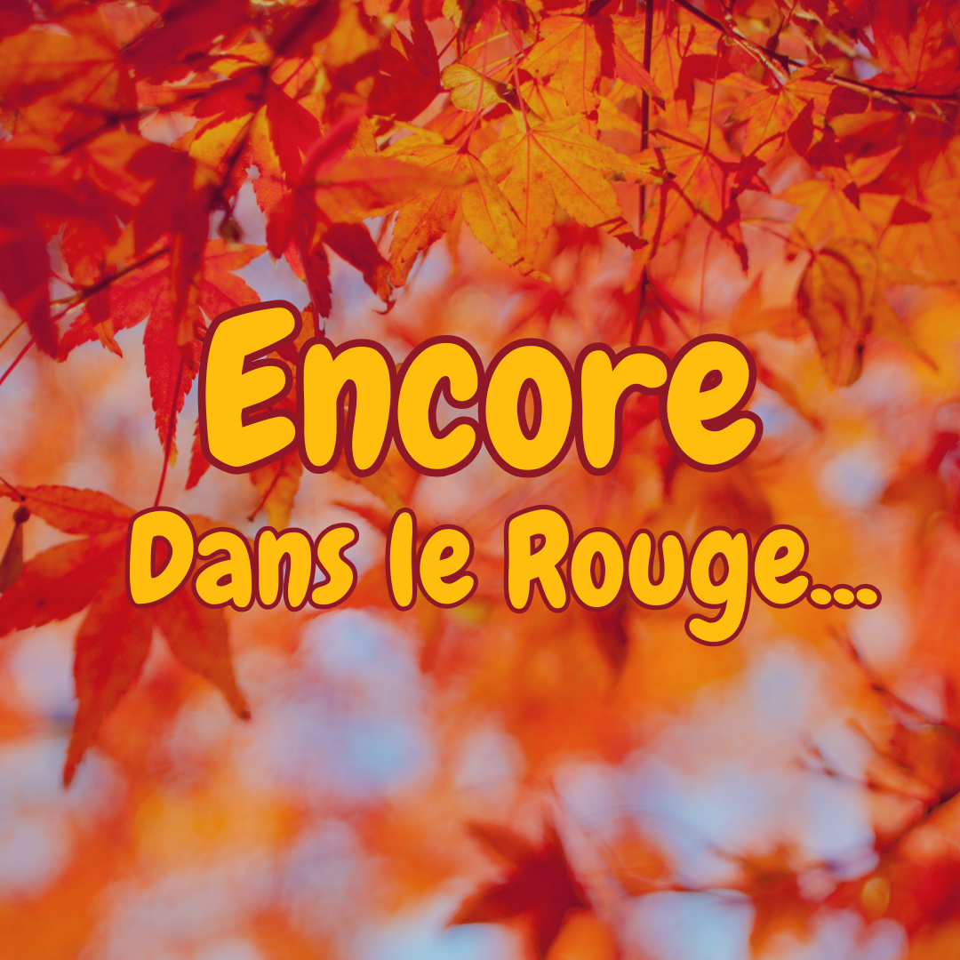 Encore, dans le rouge...🍂🦊