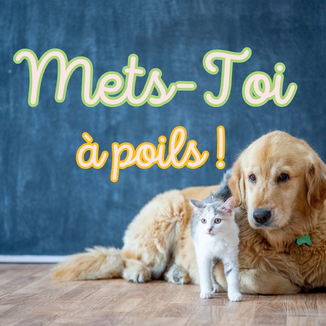 Mets-toi à poils !🙈🐶