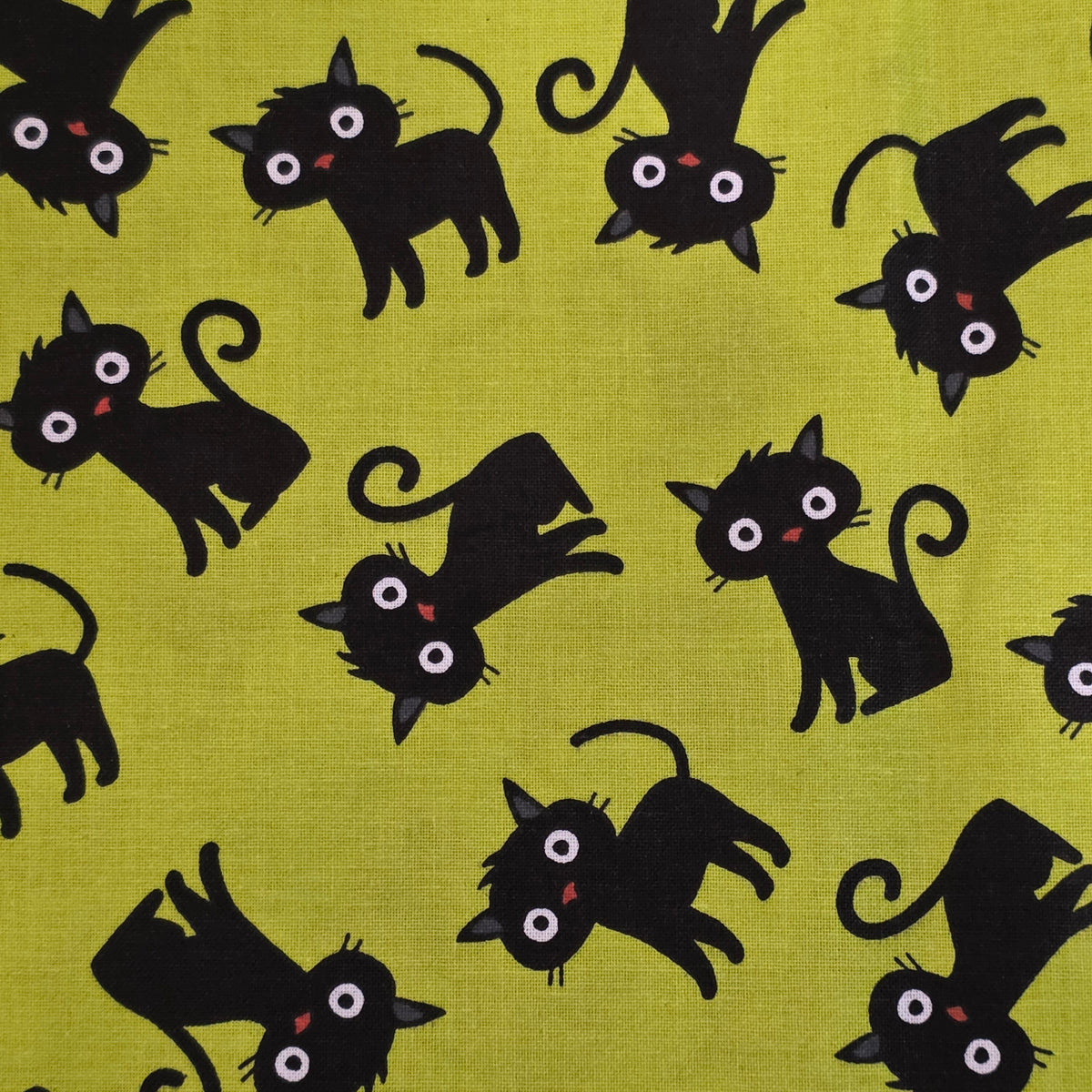 Motif Chat noir