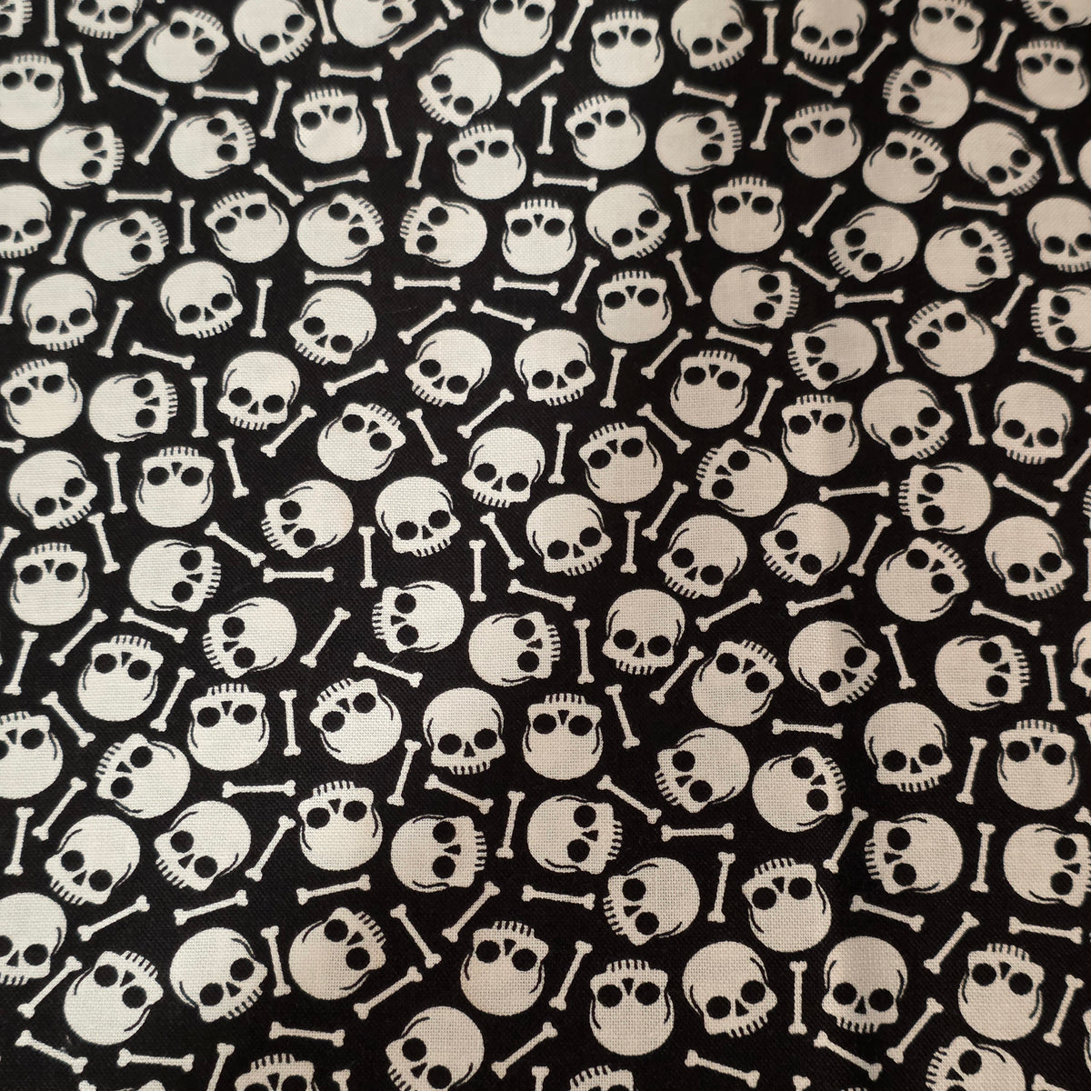 Motif Crâne