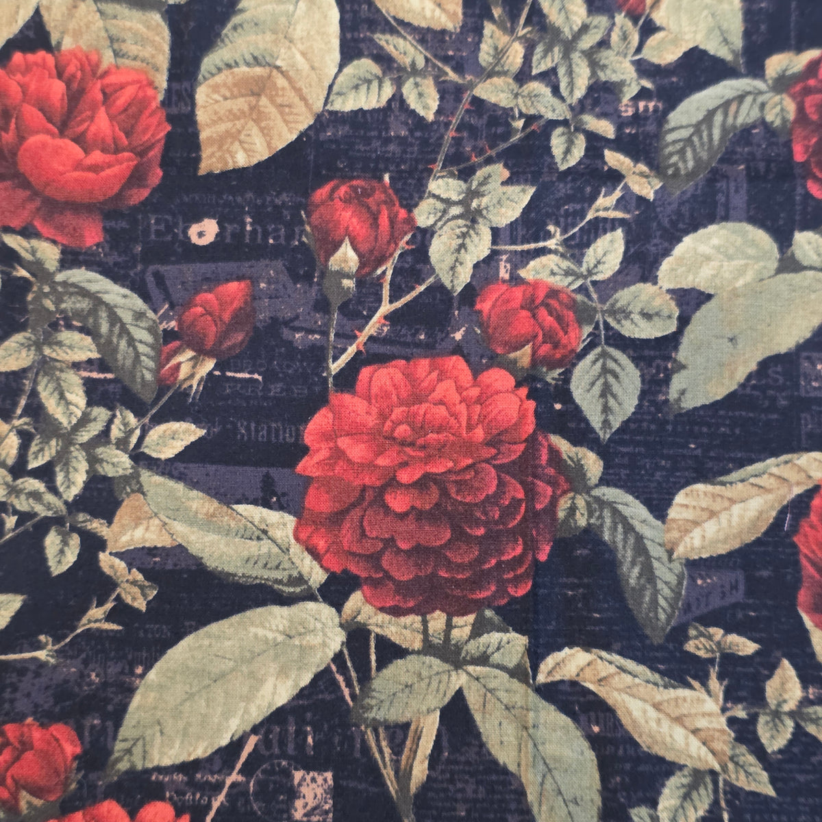 Couvre-Bol (Moyen - Max 10")