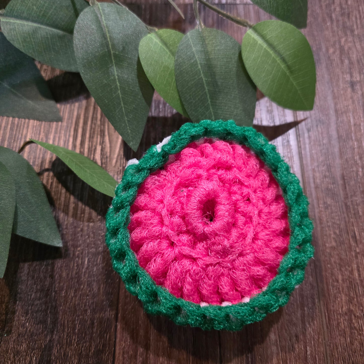 Tampons à Récurer pour la Vaisselle