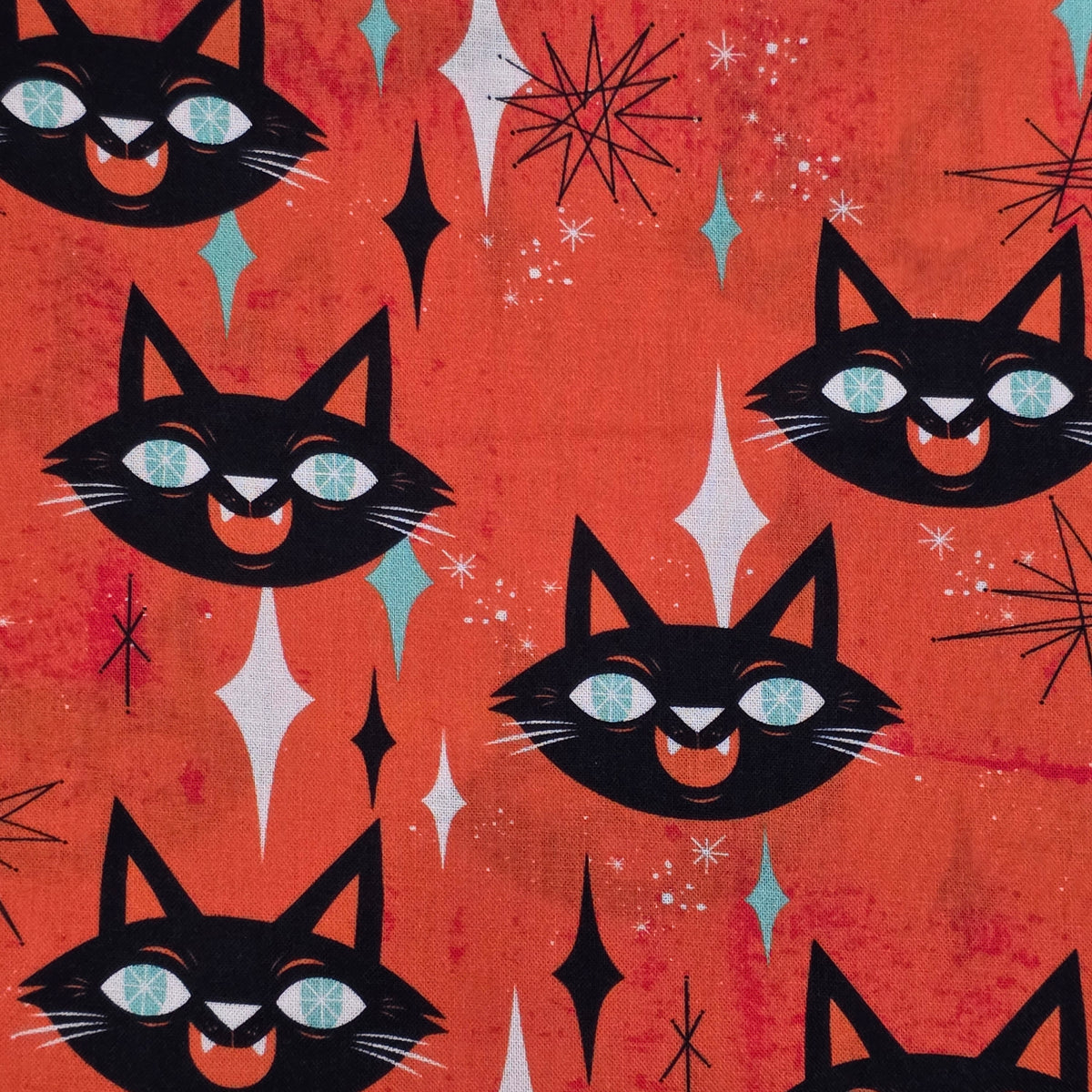 Motif Chat orange