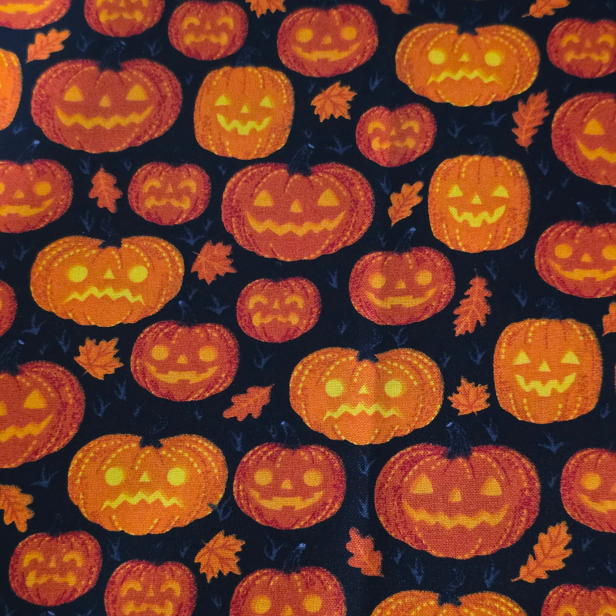 Motif Citrouille