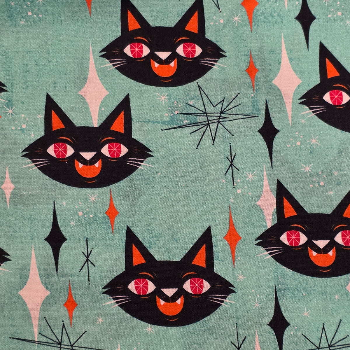 Motif Chat bleu